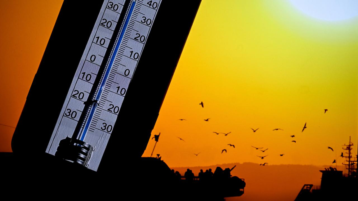 Belçika'da ülke geneli sıcak hava alarmı verildi