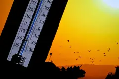 Belçika'da ülke geneli sıcak hava alarmı verildi