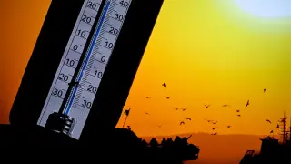 Belçika'da ülke geneli sıcak hava alarmı verildi