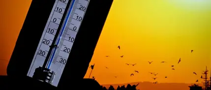 Belçika'da ülke geneli sıcak hava alarmı verildi