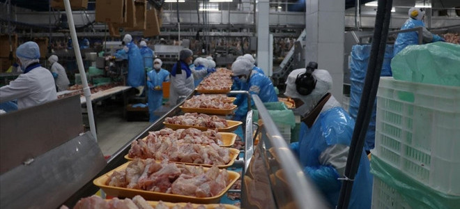 BESDBİR: Türkiye’de beyaz et fiyatları Avrupa ve ABD’den ucuz
