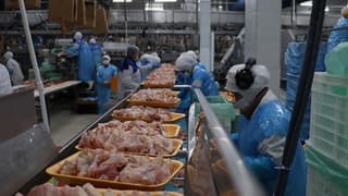 BESDBİR: Türkiye’de beyaz et fiyatları Avrupa ve ABD’den ucuz