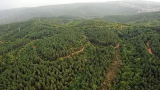 Bilecik'te ormanlık alan ve yaylalara girişler yasaklandı