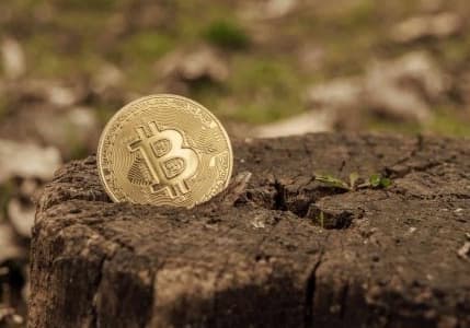 Binance ve FTX arasındaki gelişmelerin ardından Bitcoin sert düşüşüne devam ediyor