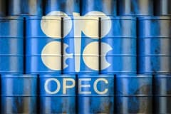 Birleşik Arap Emirlikleri, OPEC’ten ayrılıyor