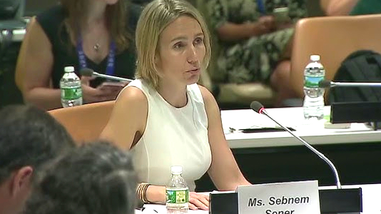 Birleşmiş Milletler Kalkınma Programı'nda kritik görev Şebnem Şener'in