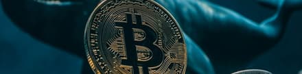Bitcoin balinaları son bir haftada 45.000 BTC topladı
