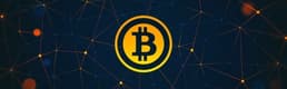 Bitcoin Uzmanından Uyarı:'Sert düşüşler yaşanabilir'