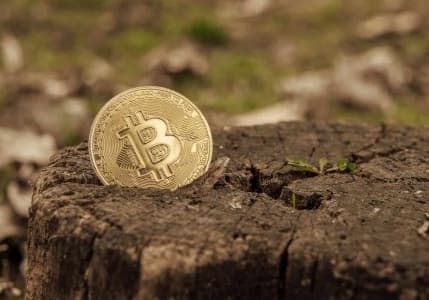 Bitcoin ve diğer kripto paraların çevreye nasıl bir etkisi var?