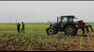 Bitkisel üretimde yeni desteklerin detayları belli oldu