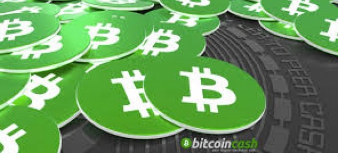 Bitpay: Günlük İşlemlerde Bitcoin Cash İle Ödeme Yapabilecek