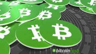Bitpay: Günlük İşlemlerde Bitcoin Cash İle Ödeme Yapabilecek