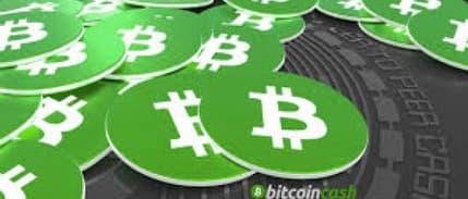 Bitpay: Günlük İşlemlerde Bitcoin Cash İle Ödeme Yapabilecek