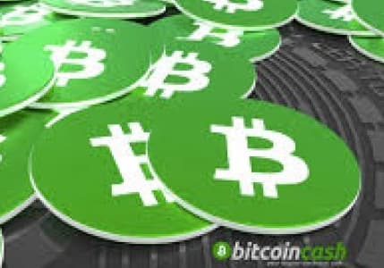 Bitpay: Günlük İşlemlerde Bitcoin Cash İle Ödeme Yapabilecek