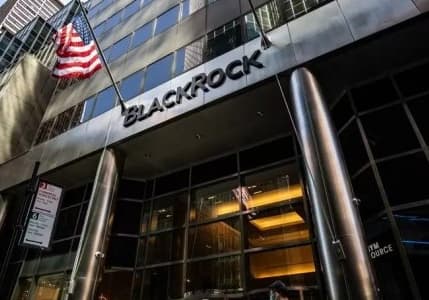 BlackRock'tan faizlere ilişkin değerlendirme: "Politika faizlerinde hızlı bir düşüş olmayacak"