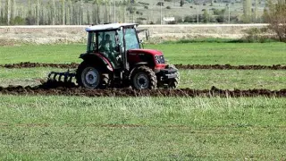 BN: Rusya, Türkiye'ye gübre kısıtlamalarını kaldırmayı planlıyor