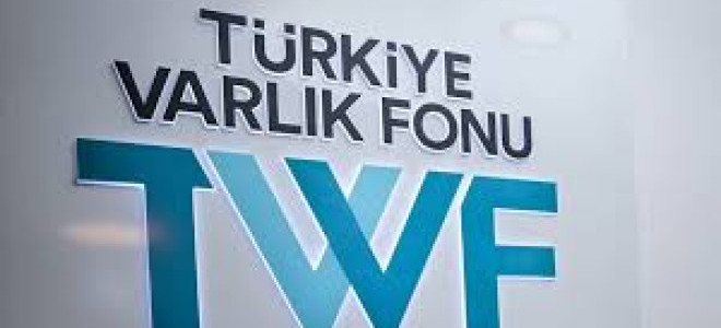 BN: TVF, dolar cinsinden tahvil ihracına hazırlanıyor