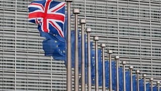 Brexit oylaması için son gün 21 Ocak