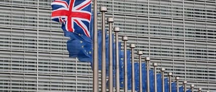 Brexit oylaması için son gün 21 Ocak