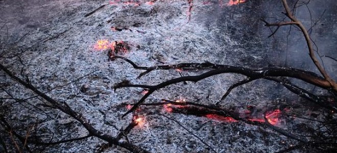 Brezilya G7 yardımını reddedecek