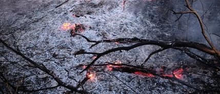 Brezilya G7 yardımını reddedecek