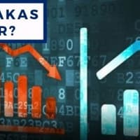 Brüt Takas Nedir? 