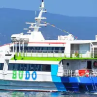 BUDO'nun bazı seferleri iptal edildi