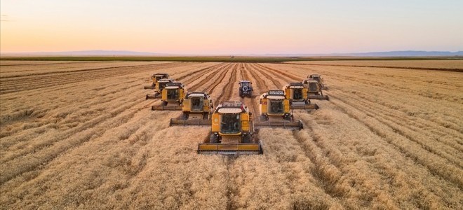 Buğday ithalatında yeni dönem: Kısıtlama olmaksızın dış alım yapılabilecek