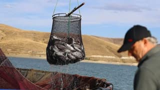 Burdur'un Türk somonları dünya sofralarını süsledi