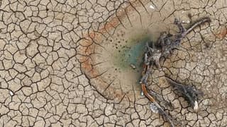 Bursa Belediye Başkanı Bozbey’den “su kesintileri devam edecek mi?” sorusuna yanıt