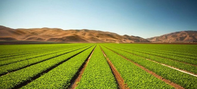 “Büyük Ovaların Koruma Alanı Olması Tarımsal Üretim Için Önemli”
