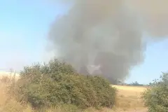 Çanakkale'de orman yangını