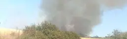 Çanakkale'de orman yangını