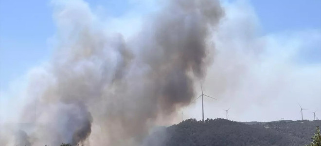 Çanakkale'de yine orman yangını çıktı: Kazdağları tehdit altında