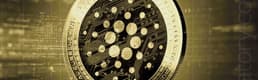Cardano en çok gelişim gösteren kripto para birimi oldu