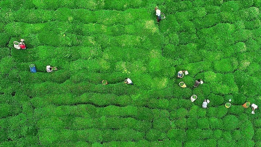 Çaykur cam şişe su üretimine başlıyor