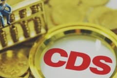 CDS Nedir?
