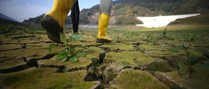 Çevreyi korumak için geçen yıl 224,6 milyar TL harcandı