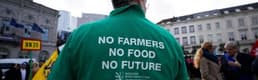 Çiftçi protestoları Avrupa'nın birçok ülkesine yayıldı