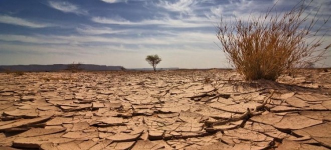 Çiftçiden Çiftçiye Anlamlı Çağrı: 