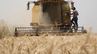 Çiftçiler buğday maliyetini hesaplayıp fiyat beklentisini açıkladı