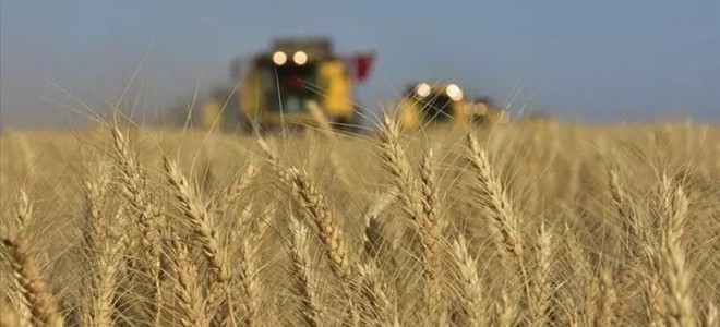 Çiftçiler, hububat alım fiyatlarını değerlendirdi