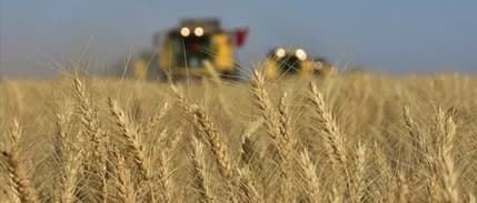 Çiftçiler, hububat alım fiyatlarını değerlendirdi