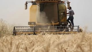 Çiftçilere 1,7 milyar liralık destek ödemesi yapılacak