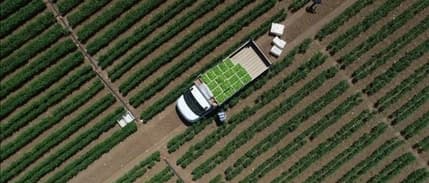 Çiftçilere 112,2 milyon lira tarımsal destekleme ödemesi yapılacak