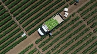 Çiftçilere 2,3 milyar lira destek ödemesi yapılacak