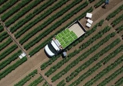 Çiftçilere 2,3 milyar lira destek ödemesi yapılacak