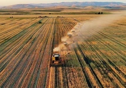 Çiftçilere 3 milyar TL'lik destek ödemesi yapılacak
