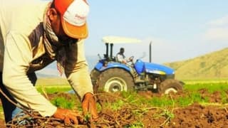 Çiftçilere 3,3 milyar lira destek ödemesi yapılacak