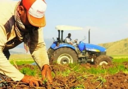 Çiftçilere 3,3 milyar lira destek ödemesi yapılacak